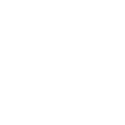 cy2026 Symbol